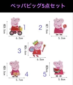 ペッパピッグ柄 刺繍ワッペン5点セット