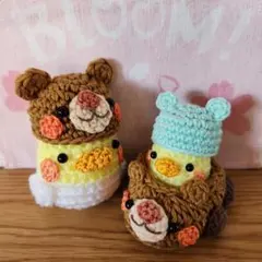 あみぐるみ くまの帽子をかぶったオカメインコ とくまちゃんカー