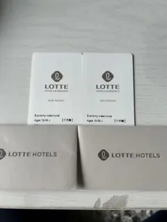 ロッテアライリゾート　エコノミークラス　ゴンドラ・リフト1日券　2枚セット LOTTE ARAI RESORT エコノミークラス リフト券 1日券お 手頃