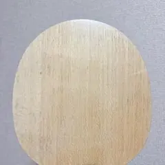 卓球 ラケット アウターカーボン 台湾　製　ALC A1