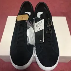 Item thumbnail for item f0a76160-87ad-4c3b-b5bc-72a561e372b3