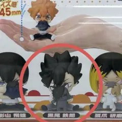 ハイキュー　かくれんぼフィギュア　黒尾鉄朗　【匿名配送】