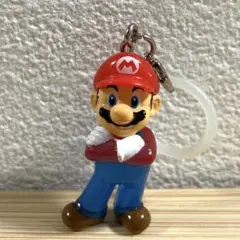 マリオ めじるしアクセサリー