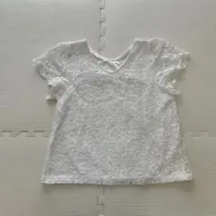 プロポーションボディドレッシング PBD シャツ ブラウス