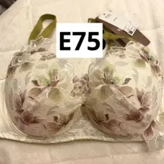 WACOAL E75 花柄刺繍ブラジャー