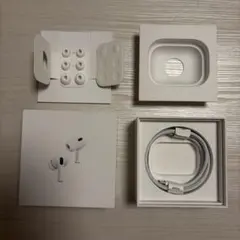 国内正規品】AirPods Pro 第1世代 空箱・純正ケーブル・チップセット
