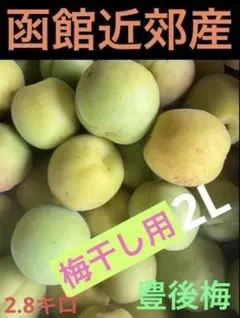 函館近郊産 豊後梅2Lサイズ 2.8キロ梅干し用のサムネイル