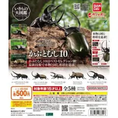 BANDAI いきもの大図鑑 かぶとむし10 「２点セット」