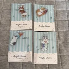 《モフサンド》アクリルチャーム☆全4種コンプリート mofsand ファミマ限定