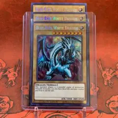 遊戯王【英語版】青眼の白龍 CT14 シク 3枚セット❗️