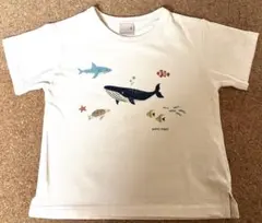 petite main ベビー服　半袖Tシャツ　90cm