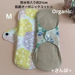 Item thumbnail for item 9a76495e-1cd8-4d27-b852-847754d9c80e