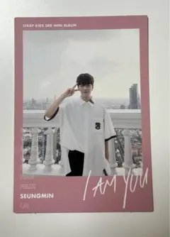 straykids Iamyou スンミン PuppyM チェキ トレカ