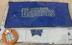 横浜 Denaベイスターズ☆ 保温保冷BIGマルチバッグとプッシュポップ