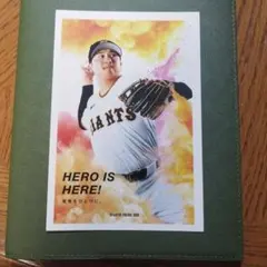 Item thumbnail for item 59fa65ab-6b0d-4a3f-81de-ec55c399243a