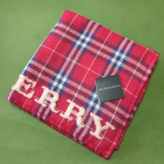 【レア柄】BURBERRY タオルハンカチ　レッド
