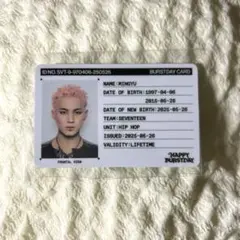 SEVENTEEN idカード トレカ ミンギュ happy burstday