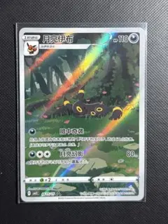 ブラッキー ar 海外限定イラスト ブラッキー AR 中国語(簡体字)版 海外限定イラスト【Card Chicken】