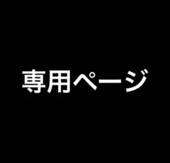 専用ページ