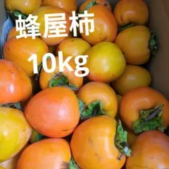 sei kun様専用蜂屋柿 10kg