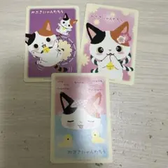 かぶきにゃんたろう トレーニングミニブロマイド