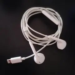 Apple 純正イヤホン EarPods Lightning接続のサムネイル