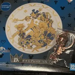 キングダムハーツ　1番くじ　D賞　G賞　キープレートチャーム　セット　まとめて
