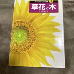 Item thumbnail for item 910eeec6-79e6-4659-bd60-5d6c01b07dad