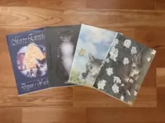 わちふぃーるど 猫のダヤン クリアファイル 4枚セット