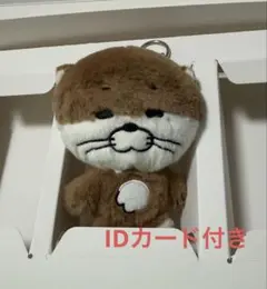 BOYNEXTDOOR ボネクド BBNEXDO プネクド リウ ダーリン