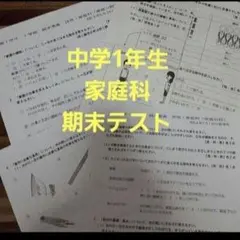 中学家庭科 中学副教科 中学実技 中学期末テスト 進研ゼミ中学実技　中学1年生