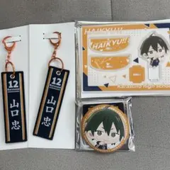ハイキュータイトーくじF賞 山口忠