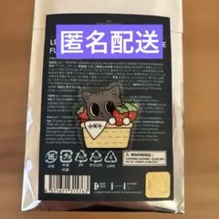 ダゴニャン ご当地 プルバトゥ バッジ txt トゥバ　福岡