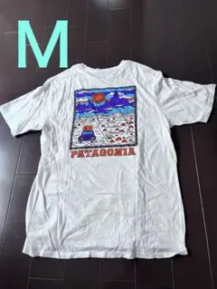 Patagonia オーガニックコットン Tシャツ M