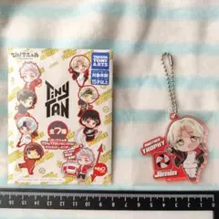 Jimin タイニータン ジミン アクリルキーホルダー ぴた!でふぉめ BTS