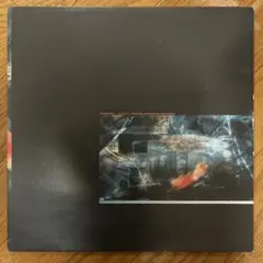 odol distance アナログ レコード 新品 odol distance アナログ レコード 新品 - メルカリ