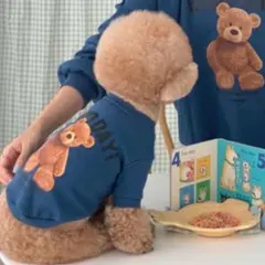 犬 犬服 ペットウェア トレーナー　やわらか素材 ピンク　Lサイズ