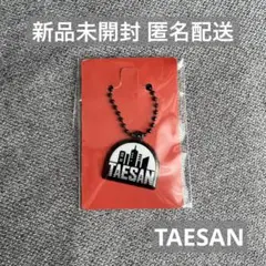 テサン the action キーホルダー weverse global 特典