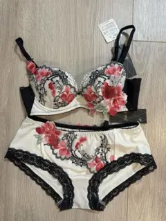 サルート　91G ブラC65、ショーツＬセット　限定コレクション