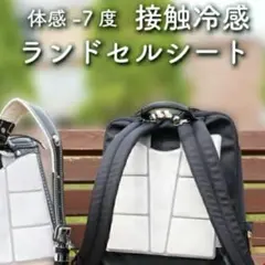 Item thumbnail for item 721ba329-036e-4e3f-b9db-a12c8ac9b262