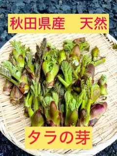 ももふー様専用ページ