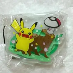 ピカチュウ　アクリルペンホルダー　ガチャ　韓国限定　ポケモン　1