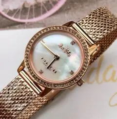 COACH 14503372 腕時計 新品未使用☆　コーチのサムネイル