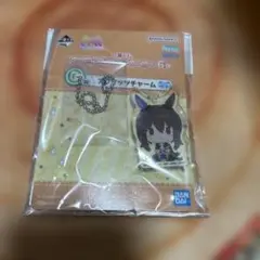 ウマ娘一番くじ6弾 G賞 アクリッツチャーム アドマイヤベガ