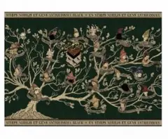 ブラック家　家系図ポスター　ハリーポッター