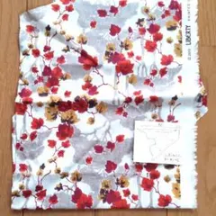 Item thumbnail for item 43010e08-bfec-418e-874a-3f1cd5f6fec3