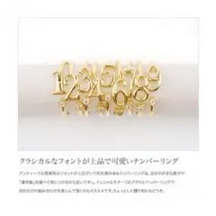 【二色あり】運命数★リング★重ね着け★指輪★ナンバー★フリーサイズ t90