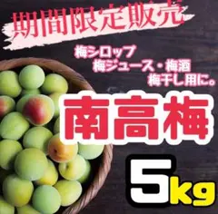 和歌山県みなべ町 南高梅 当日収穫分3L4L混合サイズ5kg 青梅〜完熟梅 