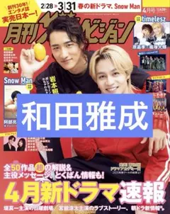 和田雅成 月刊ザテレビジョン 切り抜き 抜けなし