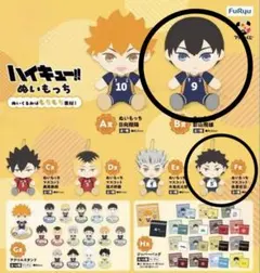 フリューくじ ハイキュー!! ぬいもっち Ｂ賞 F賞ぬいぐるみ